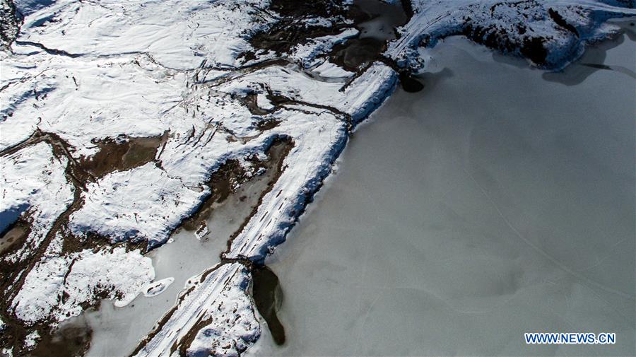 Chine: paysage d'hiver d'un parc forestier au Qinghai 