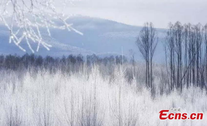 La ? ville la plus froide de Chine ? affronte ses températures les plus basses de cet hiver