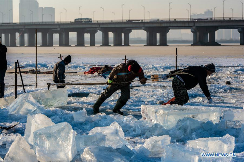 Heilongjiang : des travailleurs recueillent de la glace sur la rivière Songhua à Harbin