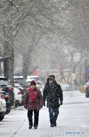 Chutes de neige à Beijing après les vacances de la fête du Printemps 