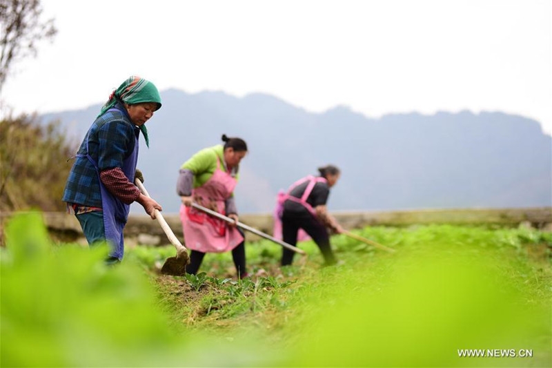 Les paysans chinois au travail avec le début du printemps