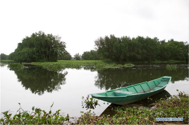 Scènes de printemps à Boao dans l'?le de Hainan