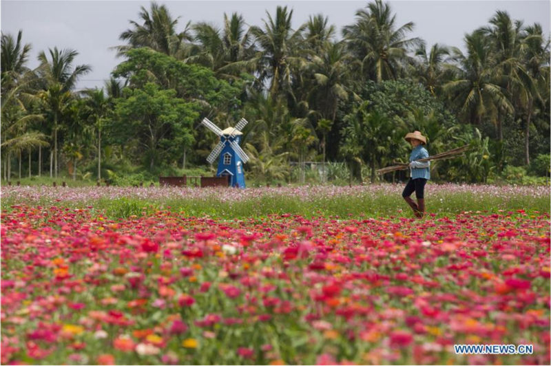 Scènes de printemps à Boao dans l'?le de Hainan