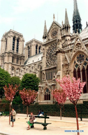 Les photos d'archives de la cathédrale Notre-Dame