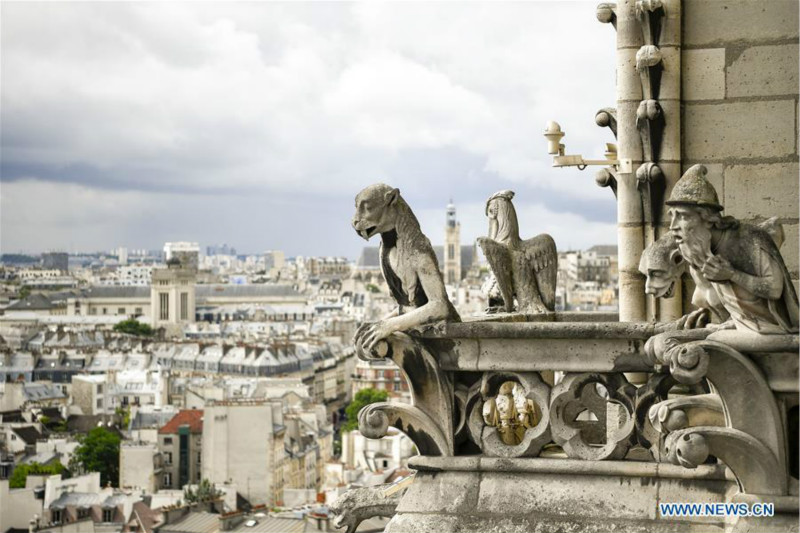 Les photos d'archives de la cathédrale Notre-Dame