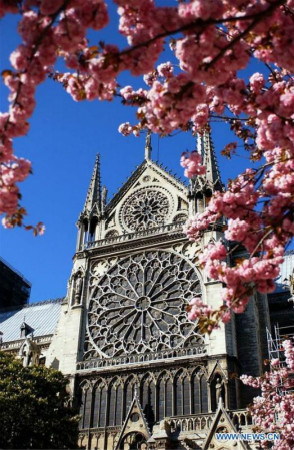 Les photos d'archives de la cathédrale Notre-Dame