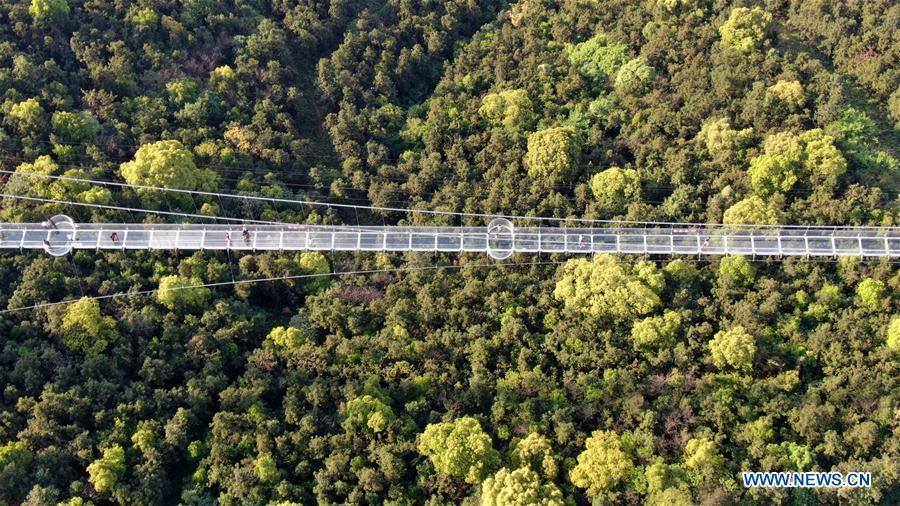 Un pont de verre dans un site touristique du Jiangsu