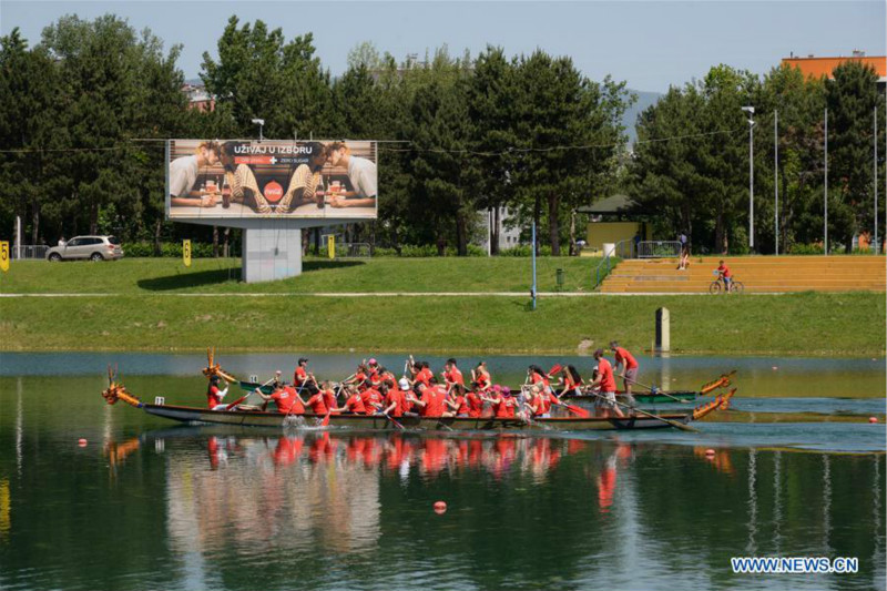 Croatie : course de bateaux-dragons à Zagreb