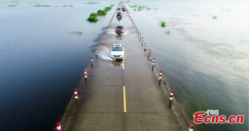 En promenade le long de l'? autoroute aquatique ? du lac Poyang