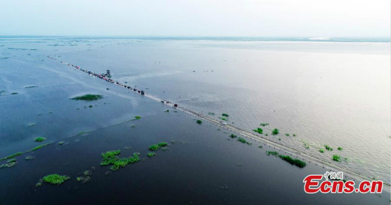 En promenade le long de l'? autoroute aquatique ? du lac Poyang