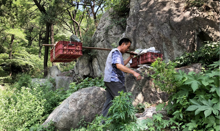 Shandong : à la découverte des porteurs du mont Taishan