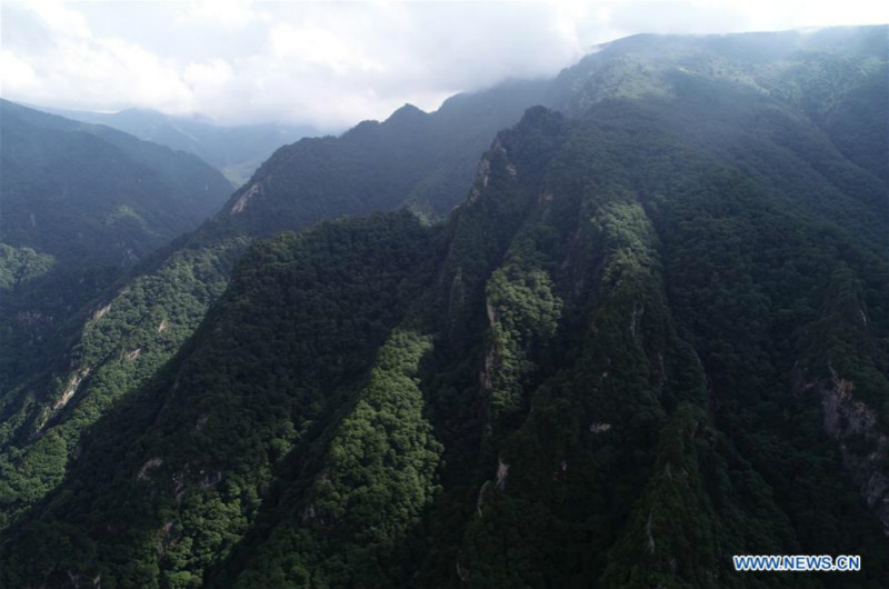 Chine: paysage d'un parc forestier au Shaanxi 