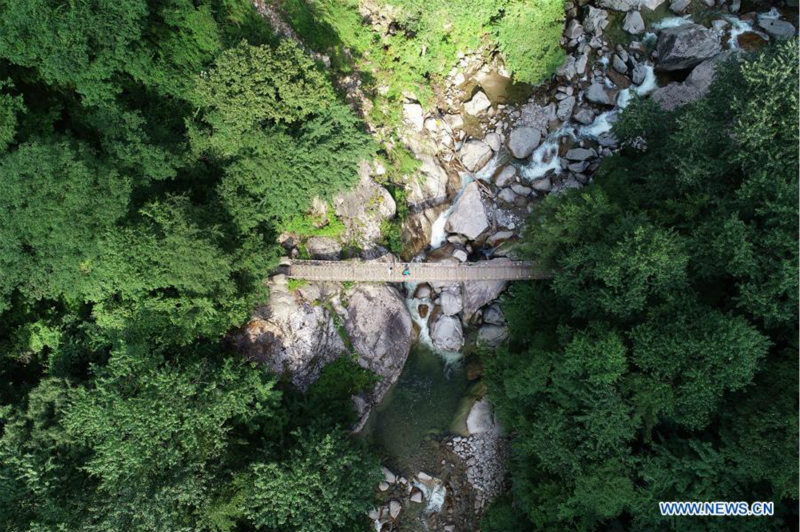 Chine: paysage d'un parc forestier au Shaanxi 