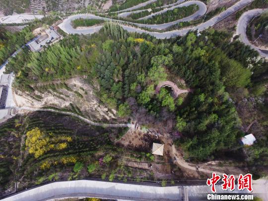 Campagne écologique : plus de 13 millions d'arbres plantés à Aksu à ce jour