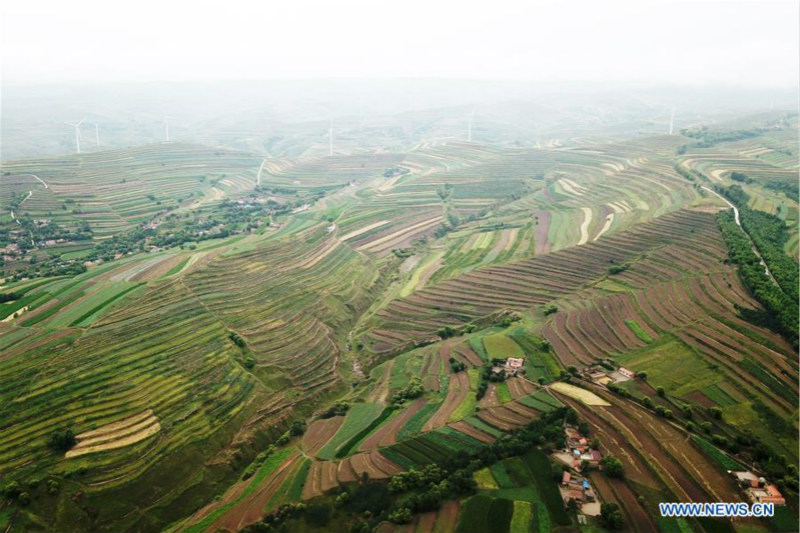 Chine: paysage de champs en terrasses au Gansu