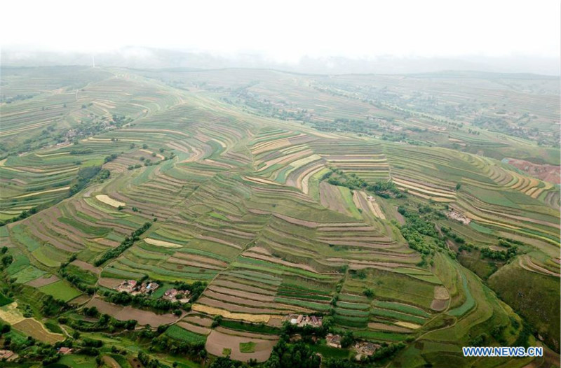 Chine: paysage de champs en terrasses au Gansu