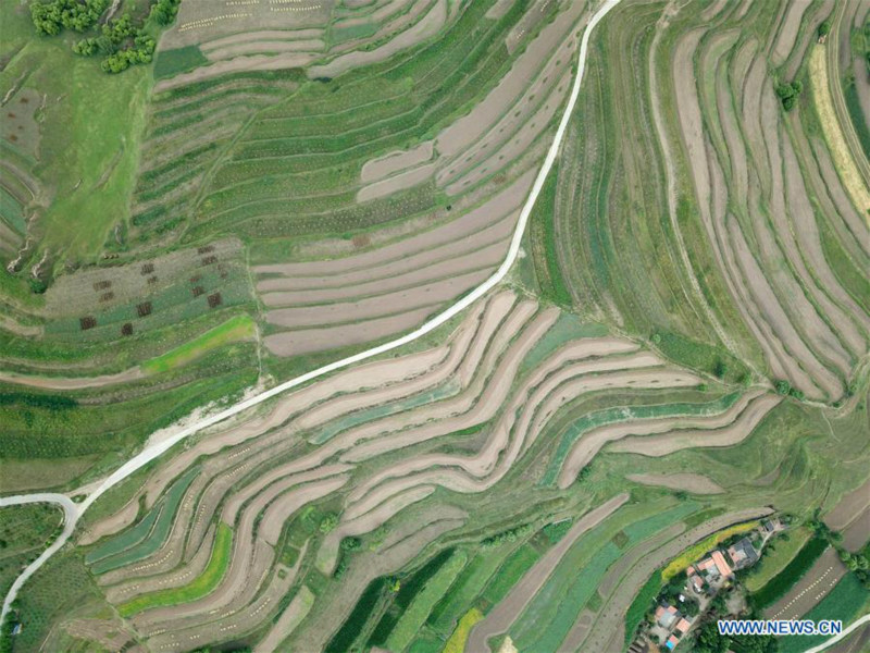 Chine: paysage de champs en terrasses au Gansu