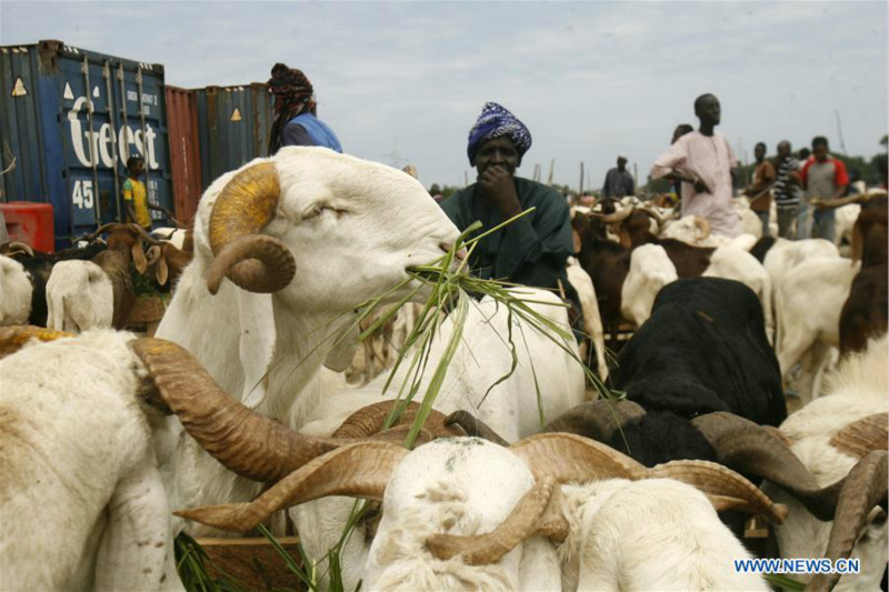 C?te d'Ivoire : préparation de l'A?d al-Adha à Abidjan