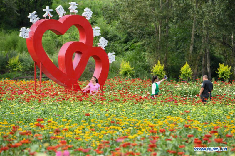 Chine: paysage de fleurs dans un village au Jilin