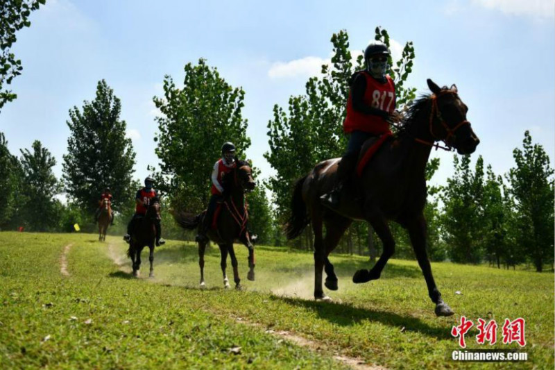 Concours d'endurance équestres organisés dans le nord-est de la Chine