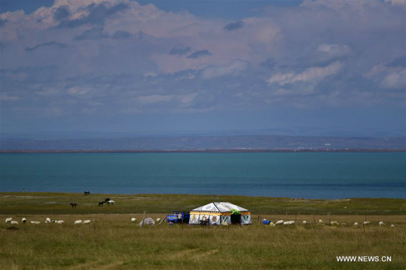 Chine: paysage du lac Qinghai