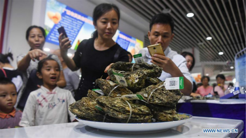 Ouverture de la 16e Exposition Chine-ASEAN dans le sud de la Chine