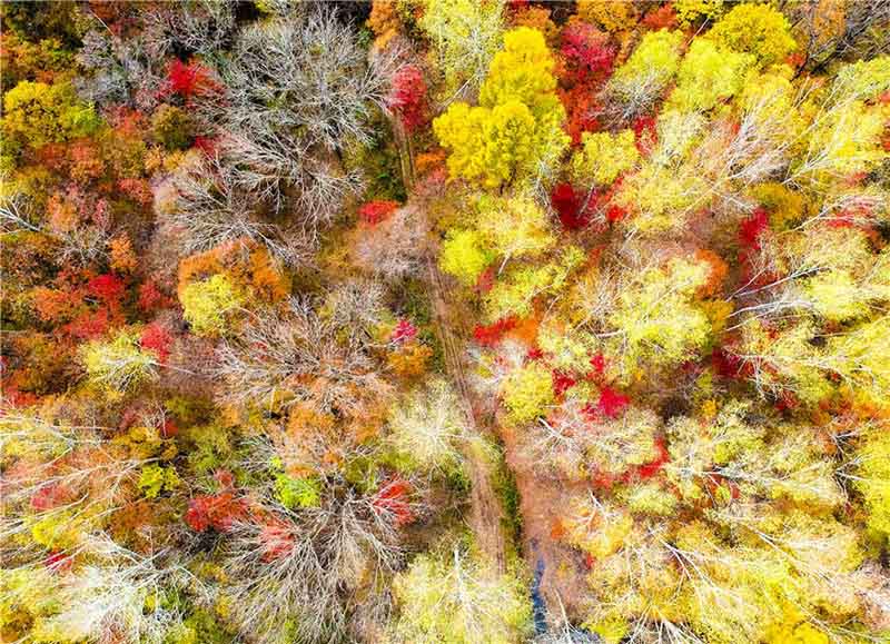 Des photographies capturent des couleurs éblouissantes dans le nord-est de la Chine