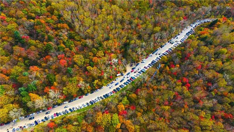 Des photographies capturent des couleurs éblouissantes dans le nord-est de la Chine