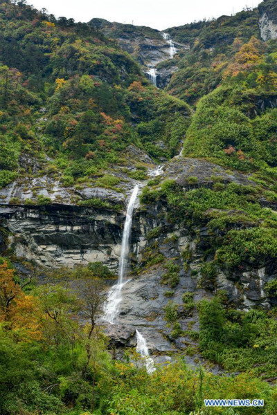 Paysage d'automne au Tibet