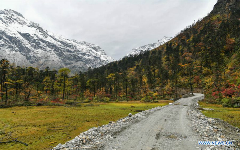 Paysage d'automne au Tibet