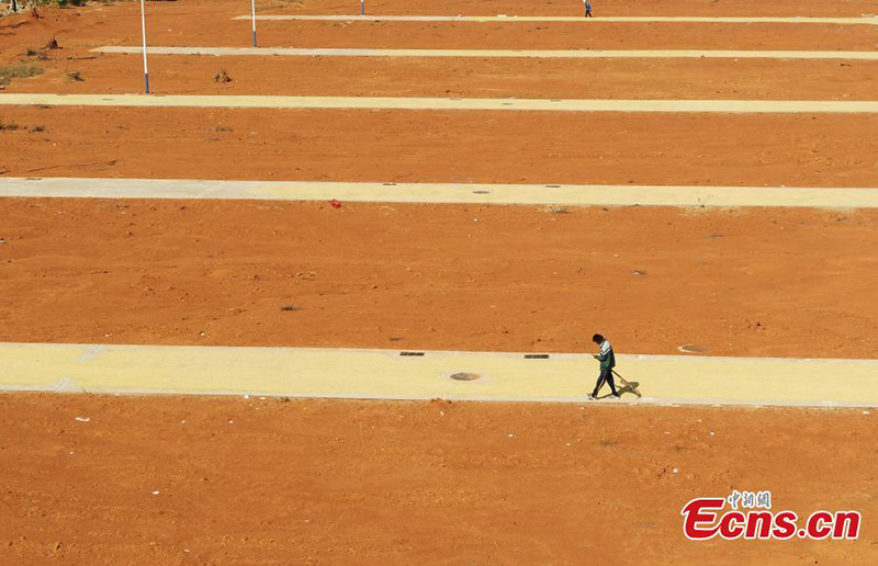 La saison de la récolte du riz dans l'est de la Chine