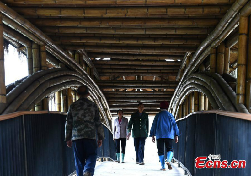 Un pont en bambou récompensé aux RICS Awards de Chine 2019