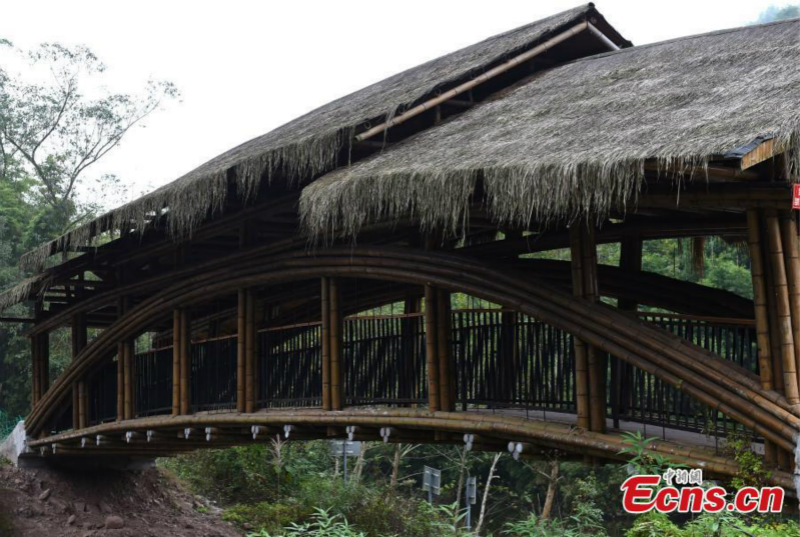 Un pont en bambou récompensé aux RICS Awards de Chine 2019