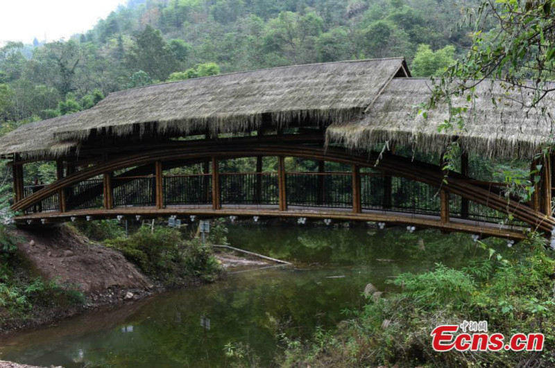 Un pont en bambou récompensé aux RICS Awards de Chine 2019