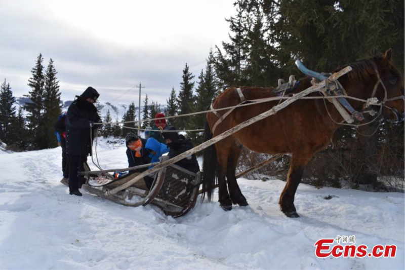 Dans le Xinjiang, un tra?neau tiré par un cheval aide les élèves à aller et revenir de l'école