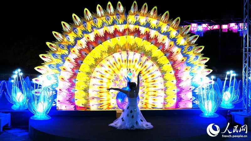 Nice : Ouverture du premier festival  ? Baie des lumières ? franco-chinois