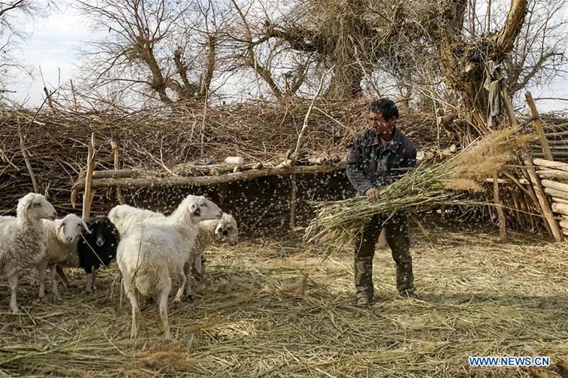 Xinjiang : des familles démunies déménagent dans leur nouvelle maison