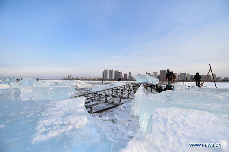 Heilongjiang : la collecte des cubes de glace dans la Rivière Songhua gelée