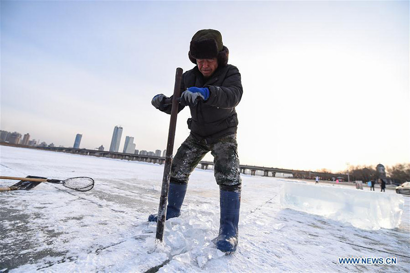 Heilongjiang : la collecte des cubes de glace dans la Rivière Songhua gelée