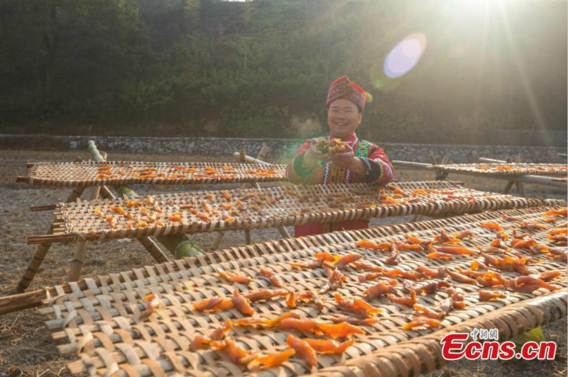 Jiangxi : des villageois sèchent des légumes au soleil