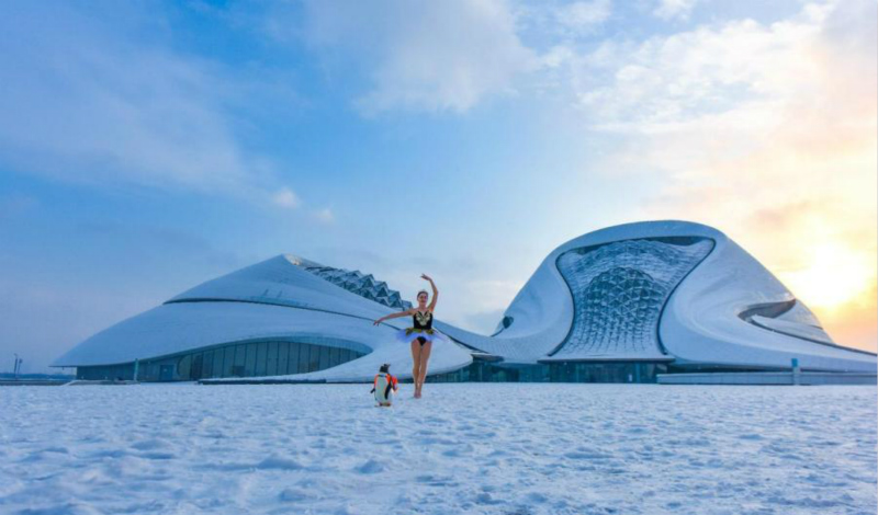 Un manchot danse avec un ? cygne ? russe au Grand Théatre de Harbin