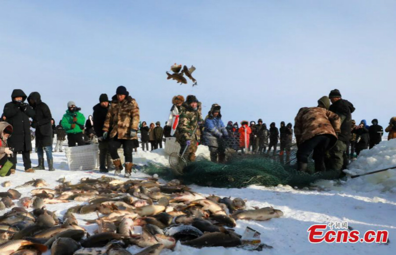 Les activités de pêche sur glace du lac Nuogan, en Mongolie intérieure