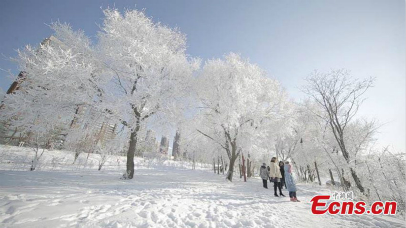 Les paysages de givre de Jilin, dans le nord-est de la Chine