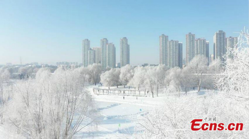 Les paysages de givre de Jilin, dans le nord-est de la Chine