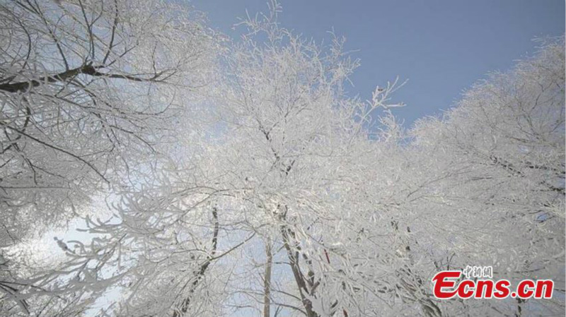 Les paysages de givre de Jilin, dans le nord-est de la Chine