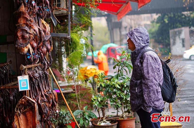 Hangzhou : le canard à la sauce soja épicée, un plat incontournable du menu du Nouvel An lunaire