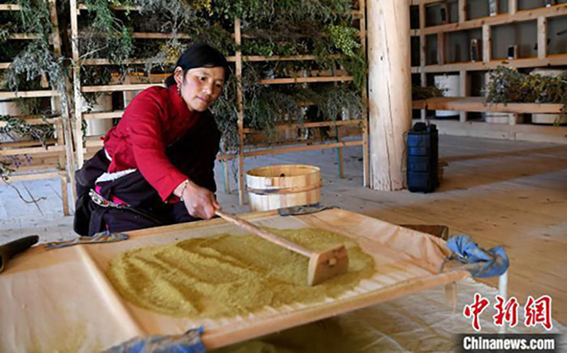 En photos : la fabrication de l'encens tibétain traditionnel