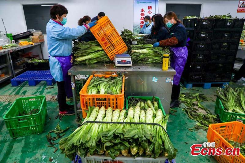 Bien manger pour mieux lutter contre le coronavirus