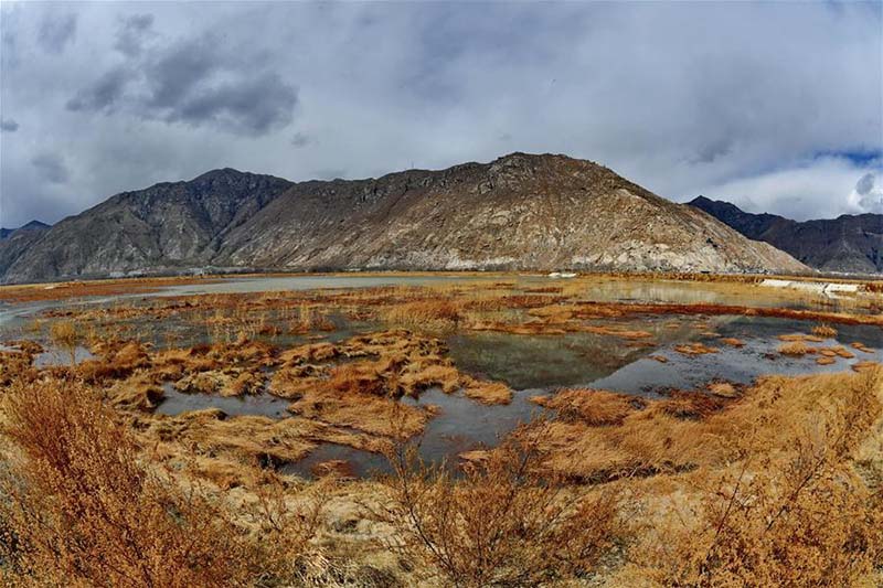 Les paysages de la zone humide de Lhalu, ? le poumon de Lhassa ??