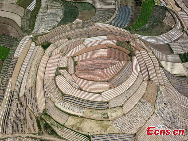 Photos aériennes de paysages ruraux de printemps dans le Guangxi